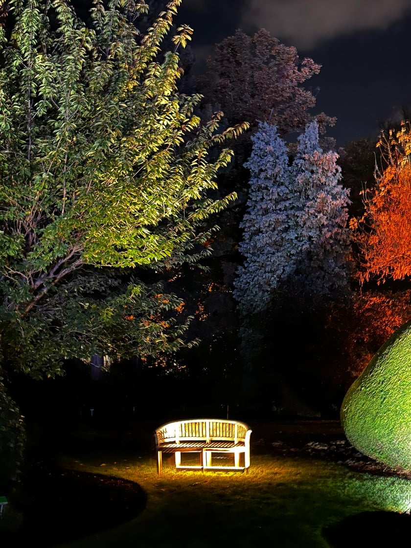 Nocne iluminacje w Ogrodzie Botanicznym