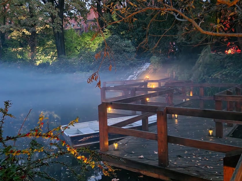 Nocne iluminacje w Ogrodzie Botanicznym