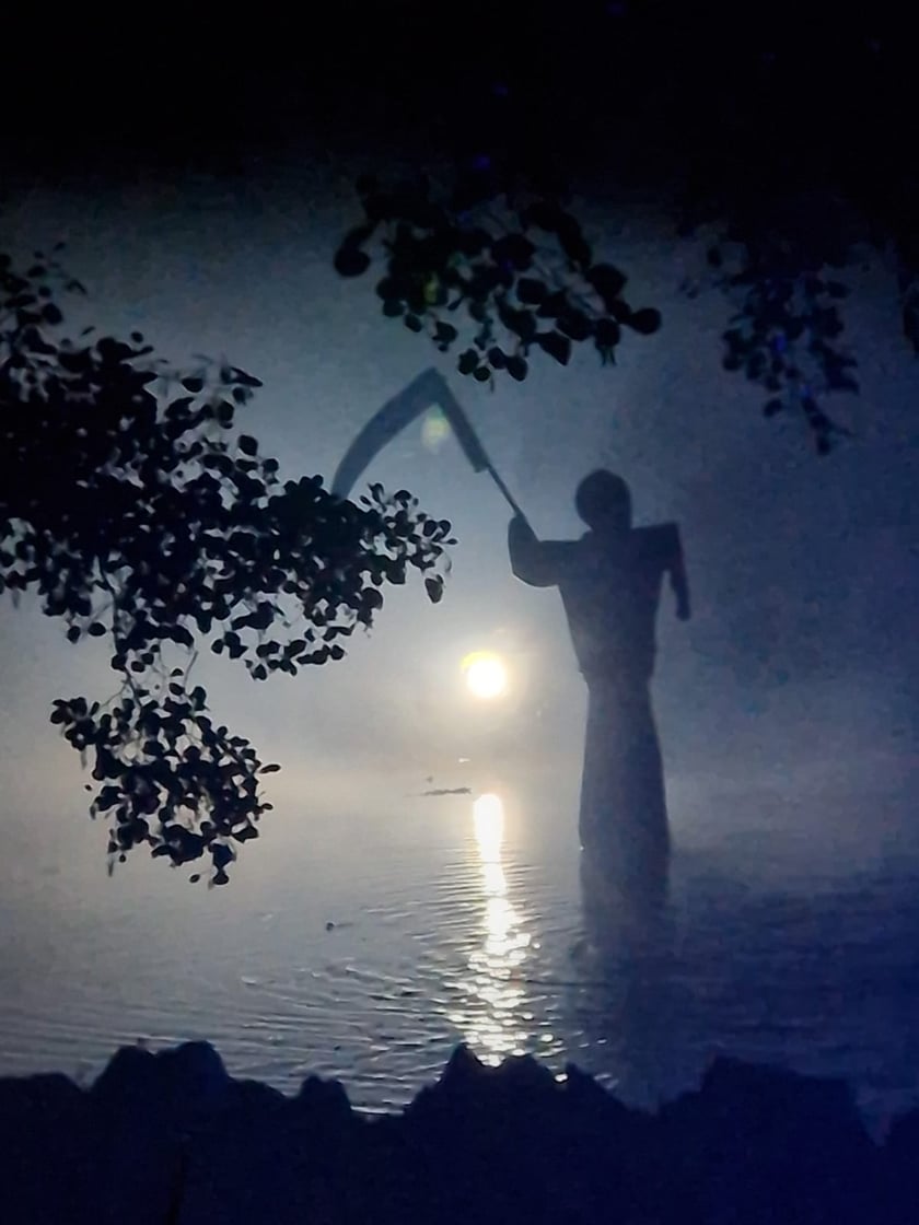Nocne iluminacje w Ogrodzie Botanicznym