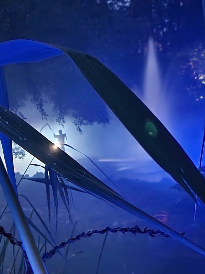 Nocne iluminacje w Ogrodzie Botanicznym