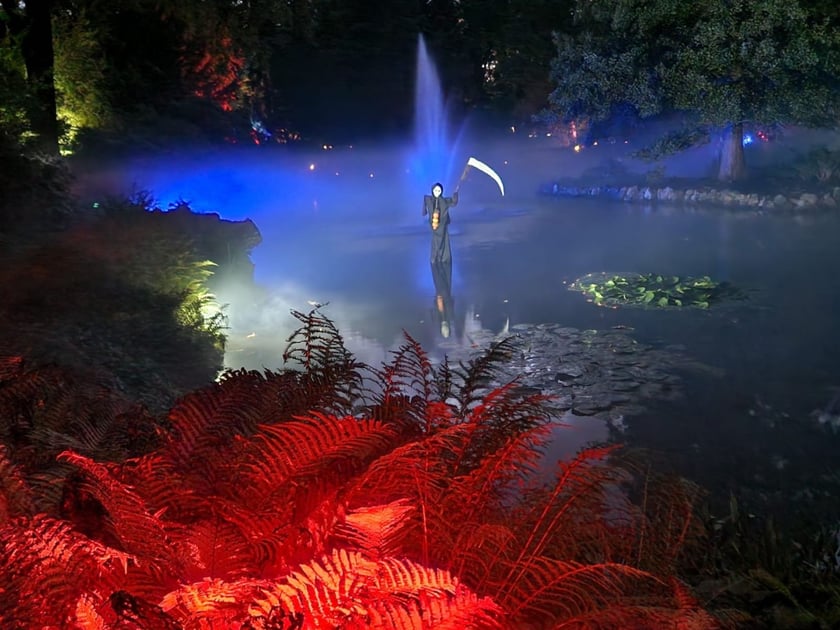Nocne iluminacje w Ogrodzie Botanicznym