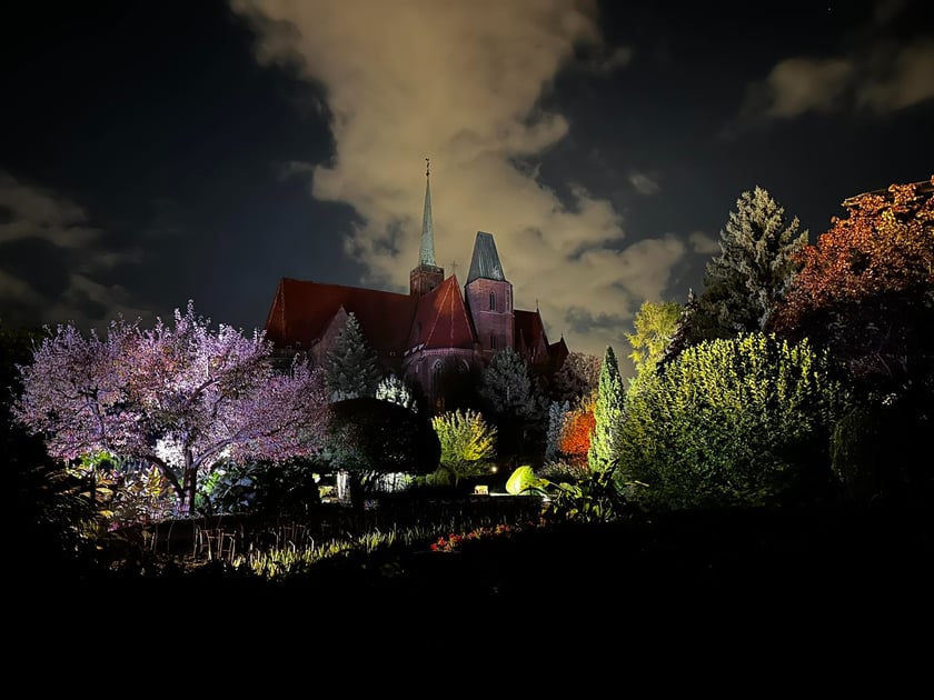 Nocne iluminacje w Ogrodzie Botanicznym