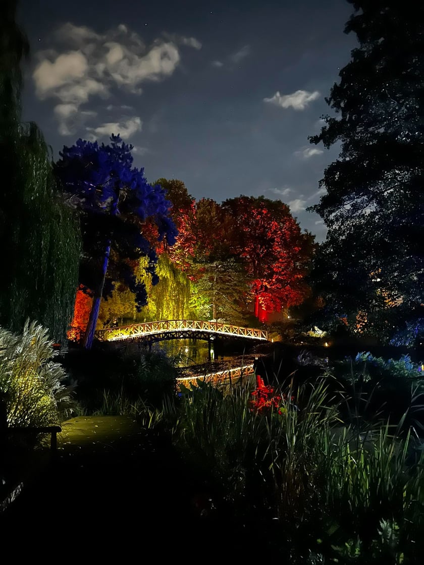 Nocne iluminacje w Ogrodzie Botanicznym