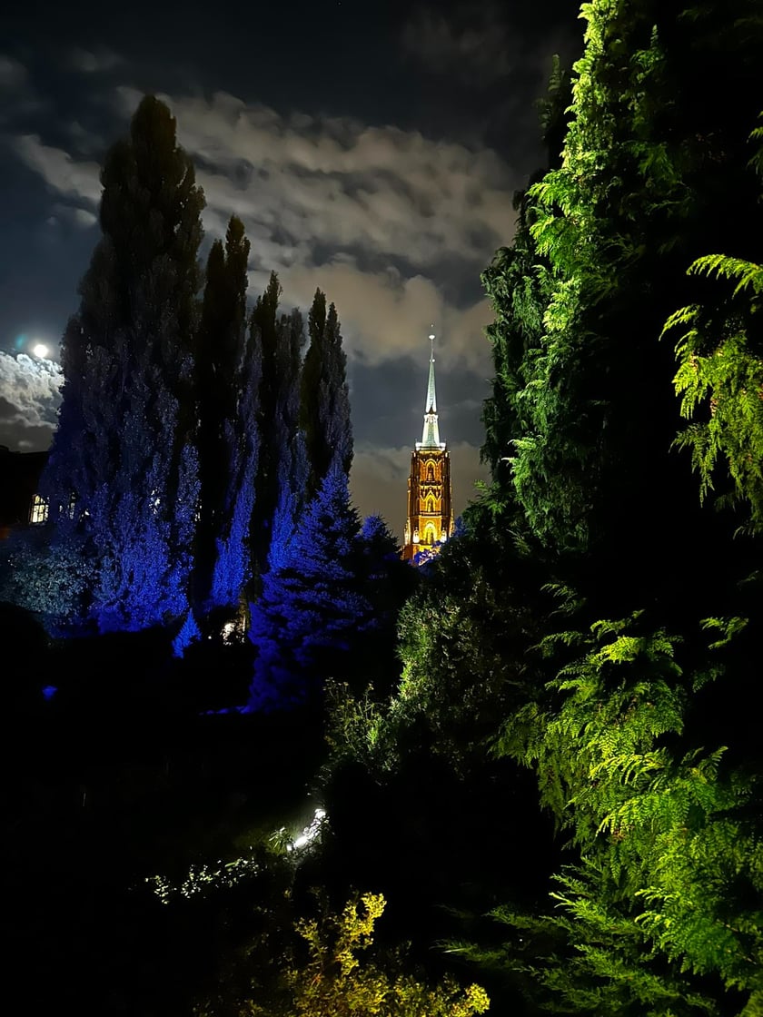 Nocne iluminacje w Ogrodzie Botanicznym
