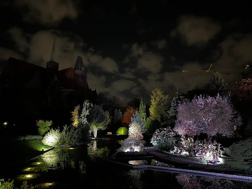 Nocne iluminacje w Ogrodzie Botanicznym