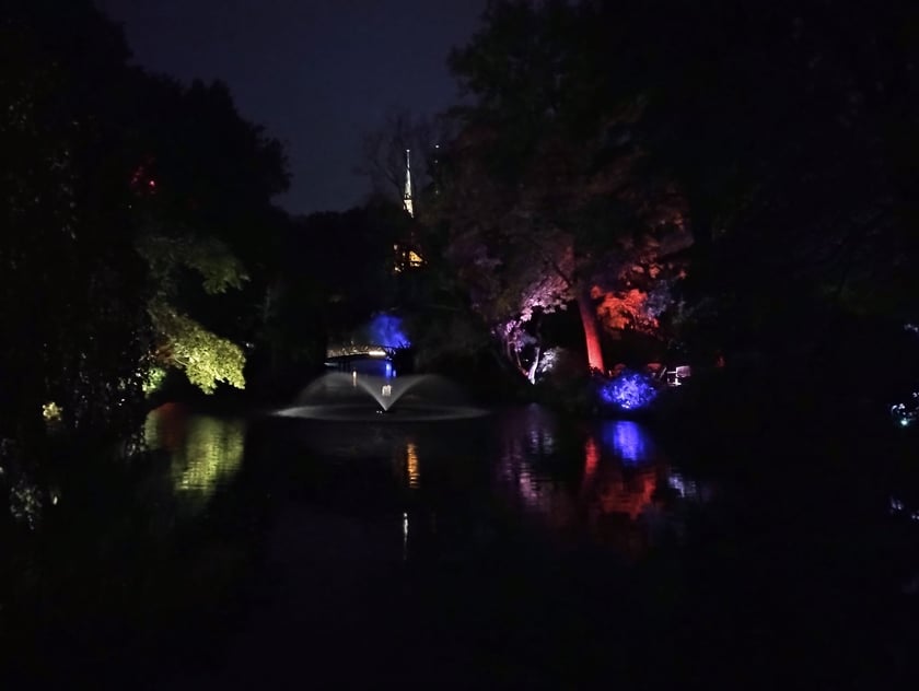 Nocne iluminacje w Ogrodzie Botanicznym