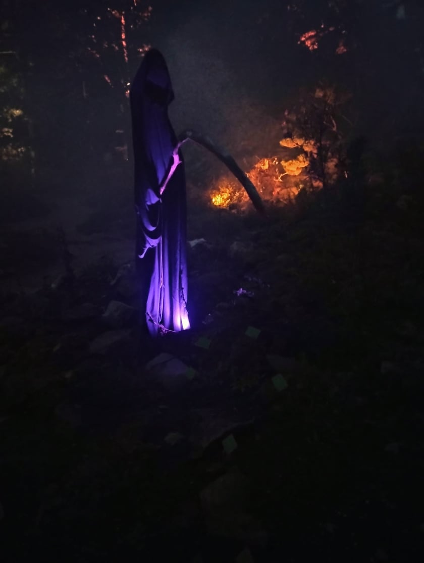 Nocne iluminacje w Ogrodzie Botanicznym