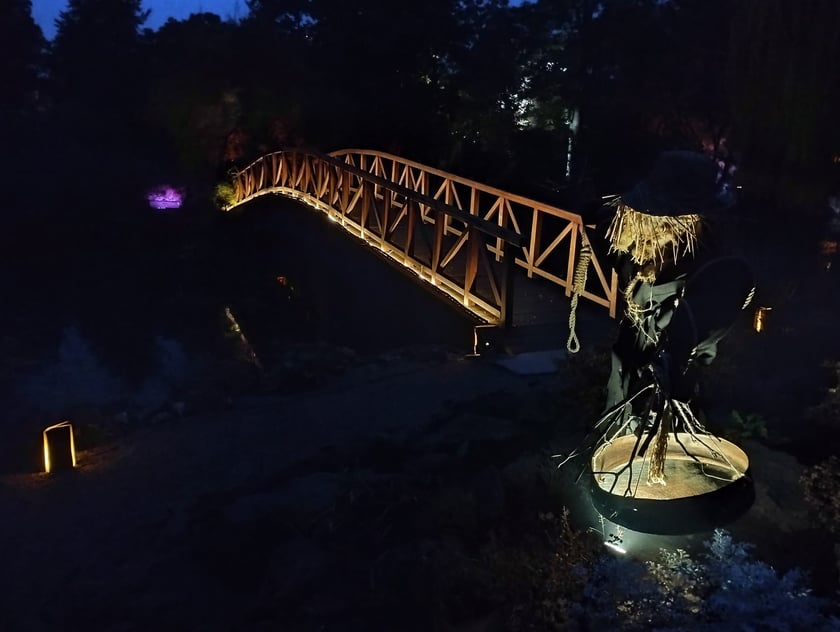 Nocne iluminacje w Ogrodzie Botanicznym