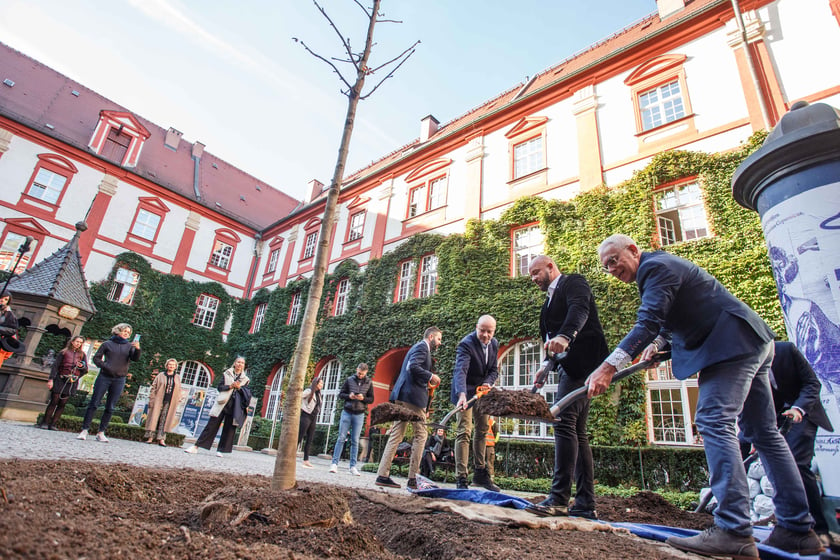 Dziedziniec Ossolineum