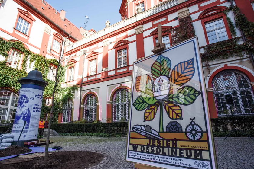 Dziedziniec Ossolineum