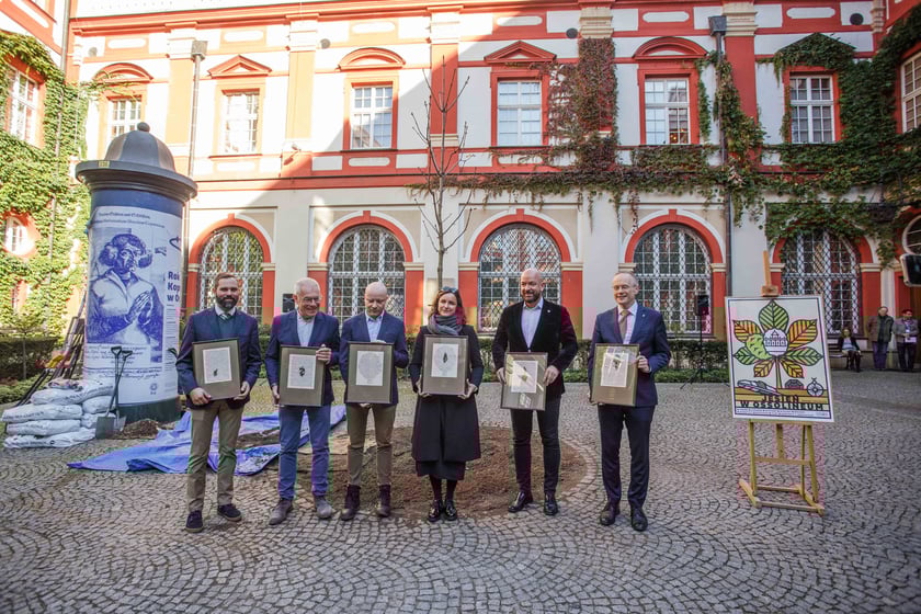 Dziedziniec Ossolineum