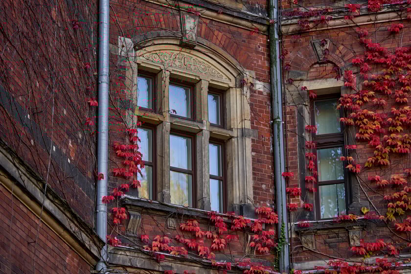 Budynek Muzeum Narodowego we Wrocławiu