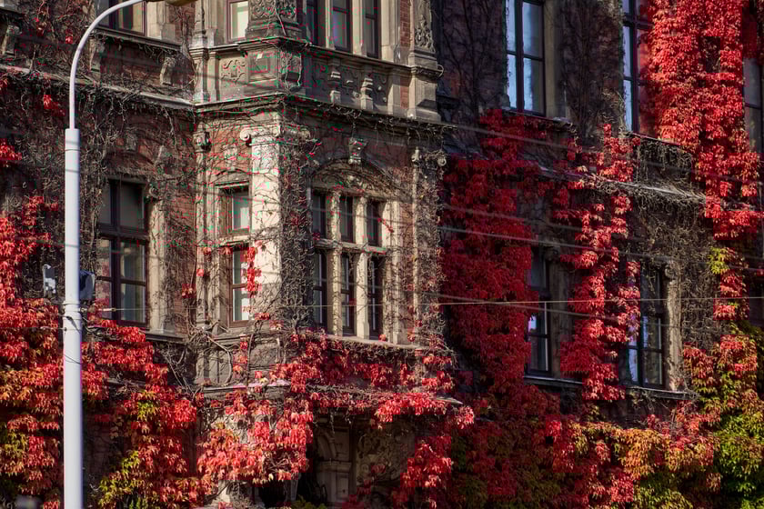 Budynek Muzeum Narodowego we Wrocławiu