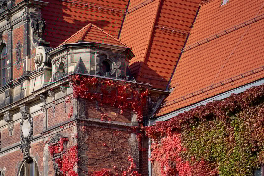 Budynek Muzeum Narodowego we Wrocławiu