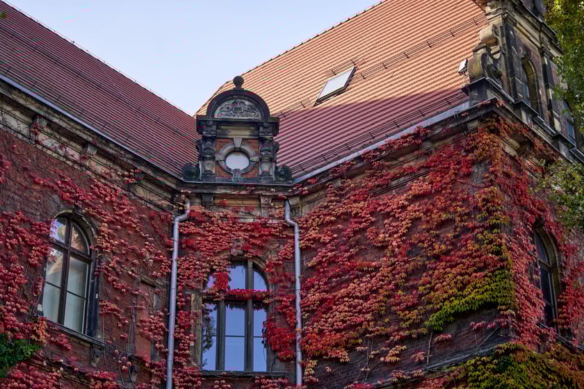 Budynek Muzeum Narodowego we Wrocławiu