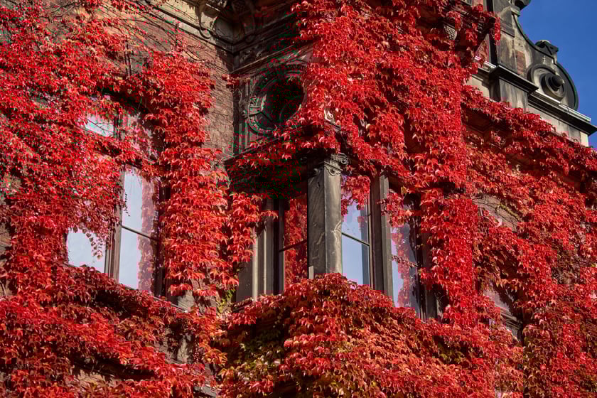 Budynek Muzeum Narodowego we Wrocławiu