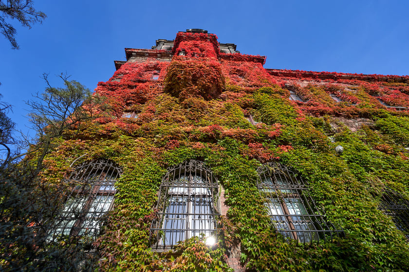 Budynek Muzeum Narodowego we Wrocławiu