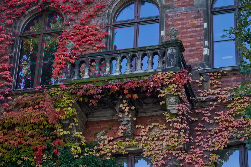 Budynek Muzeum Narodowego we Wrocławiu