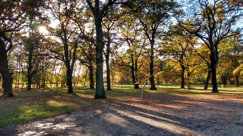 Park Biskupiński