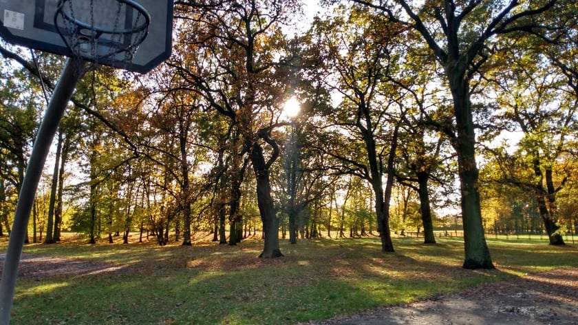 Park Biskupiński