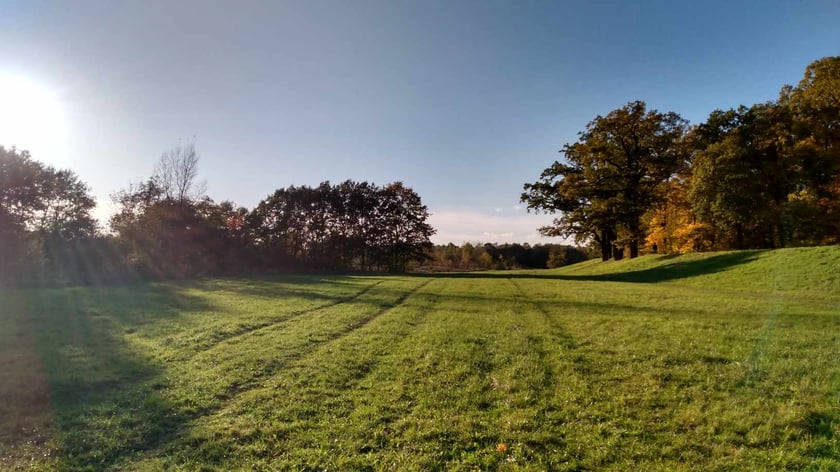 Park Biskupiński