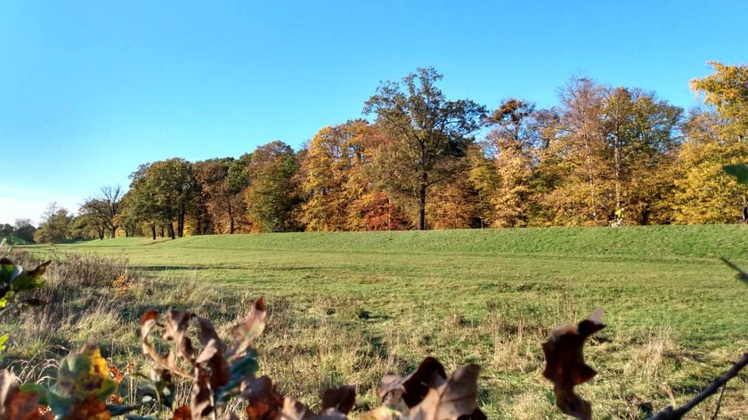 Park Biskupiński