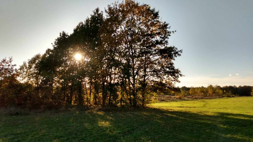 Park Biskupiński