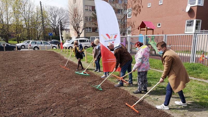 Wrocław dla pszczół - sianie łąk kwietnych we Wrocławiu