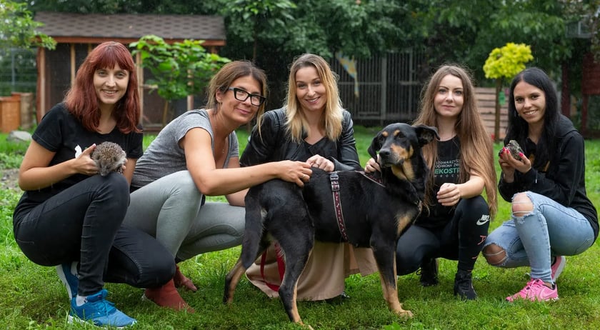 Stowarzyszenie Ochrony Zwierząt Ekostraż pomaga chorym i rannym zwierzętom