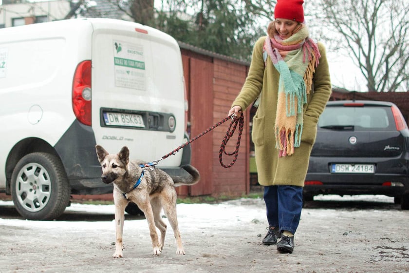 Stowarzyszenie Ochrony Zwierząt Ekostraż pomaga chorym i rannym zwierzętom