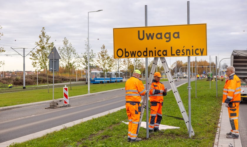 Wzdłuż ulicy Kosmonautów powstaje szpaler klonów. Duże drzewa o średnicy ponad 30 centymetrów, wysokie na 4,5-5 metrów, sadzone są od skrzyżowania z Fieldorfa i 11 Listopada do skrzyżowania z al. Architektów.