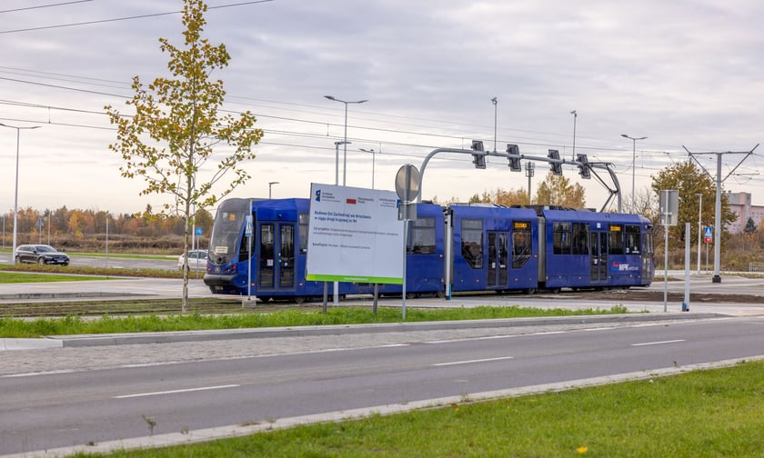 Wzdłuż ulicy Kosmonautów powstaje szpaler klonów. Duże drzewa o średnicy ponad 30 centymetrów, wysokie na 4,5-5 metrów, sadzone są od skrzyżowania z Fieldorfa i 11 Listopada do skrzyżowania z al. Architektów.