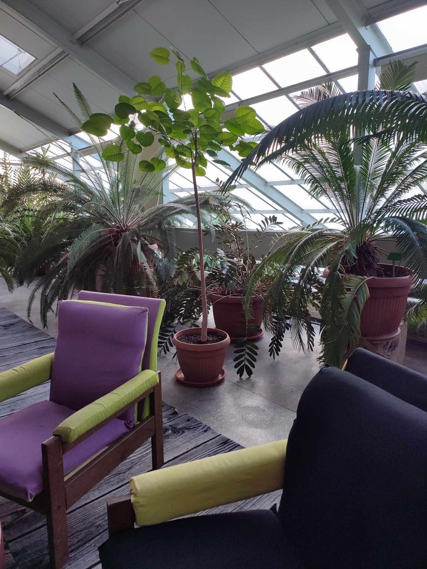Ogr&oacute;d Botaniczny