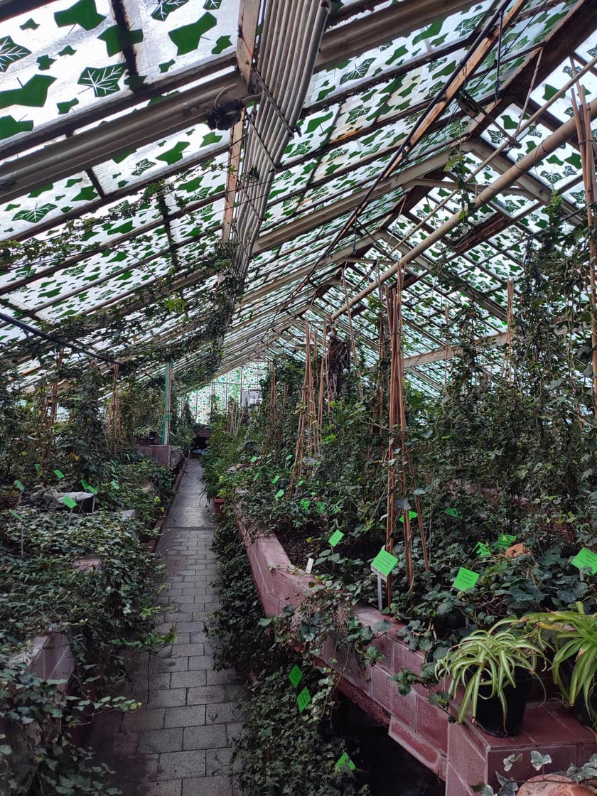 Szklarnia w Ogrodzie Botanicznym