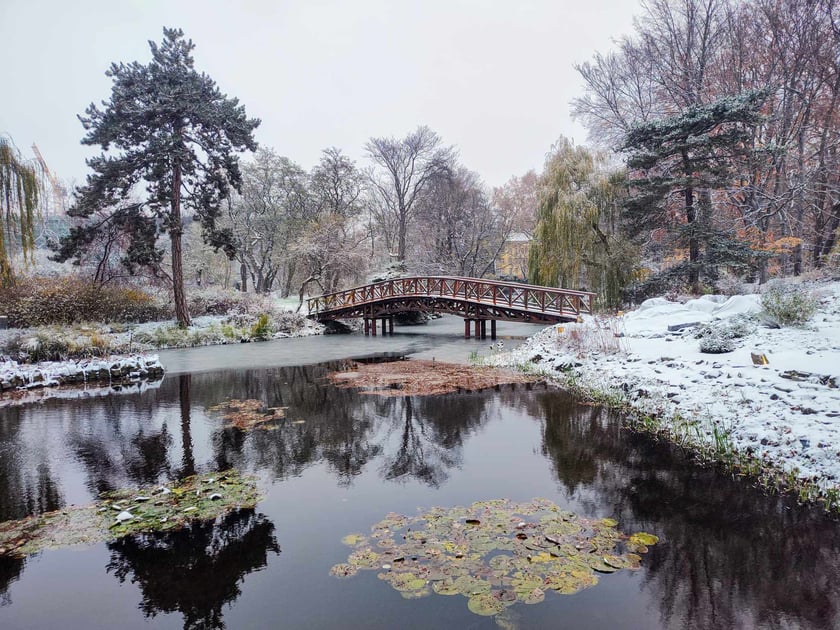Zimowe, weekendowe spacery po Ogrodzie Botanicznym ruszają 13 stycznia 2024