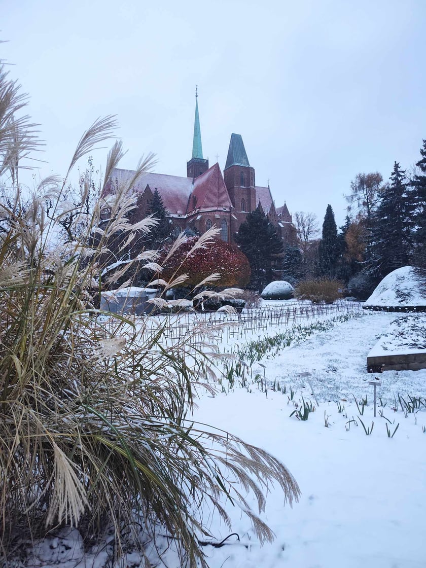 Ogr&oacute;d Botaniczny zimą wygląda pięknie.&nbsp;