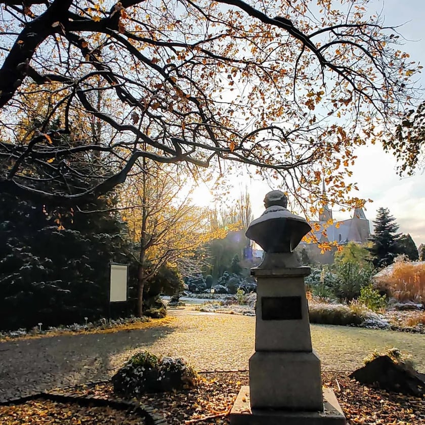 Ogród Botaniczny zimą