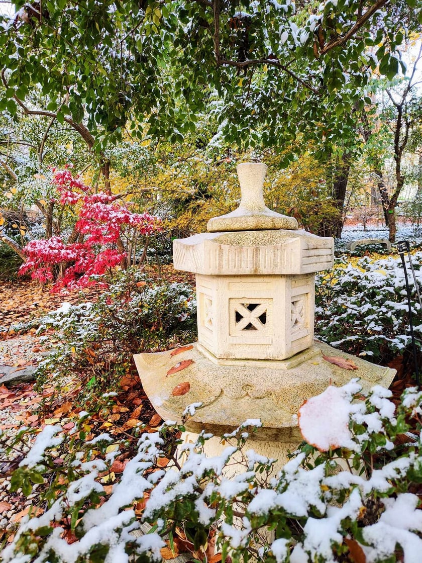 Ogród Botaniczny zimą