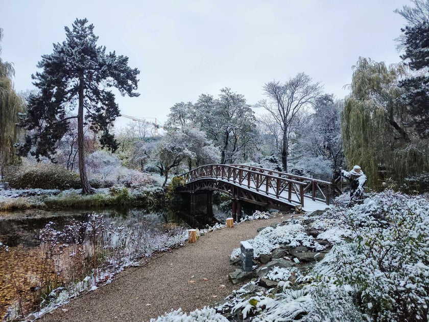 Ogród Botaniczny zimą