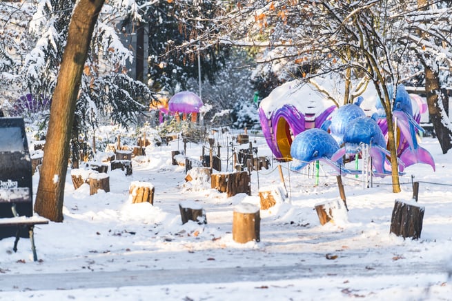 Zoo zimą