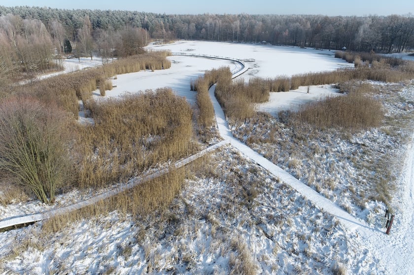 Arboretum Leśne. Duży Staw