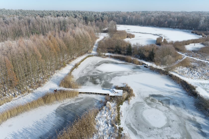 Arboretum Leśne.&nbsp;Staw Podkowa i Duży Staw