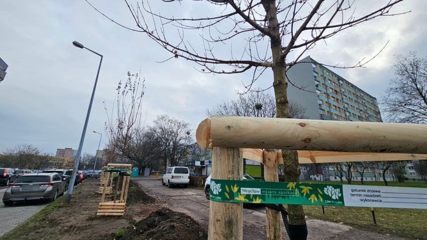 Nasadzenia na Hubach, Gaju i Tarnogaju - 13 grudnia 2023 r.