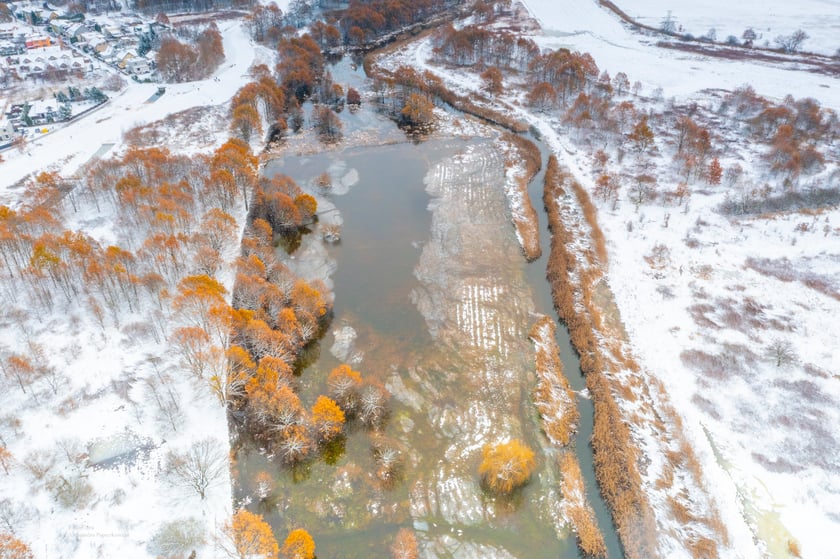 Zimowa Widawa. Zdjęcia z grudnia