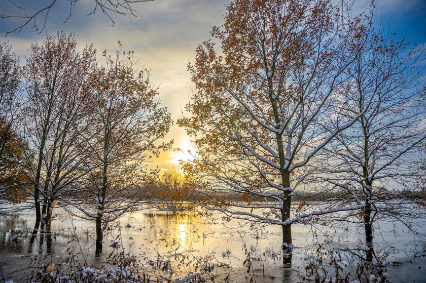 Zimowa Widawa. Zdjęcia z grudnia
