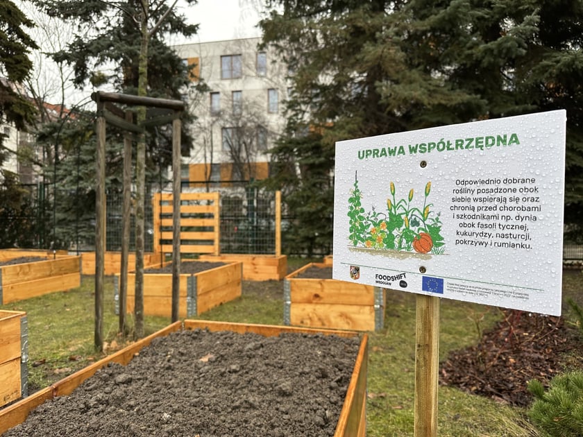 Ogródki warzywne we wrocławskich przedszkolach, które powstały w 2023 r. - projekt FOODSHIFT 2030