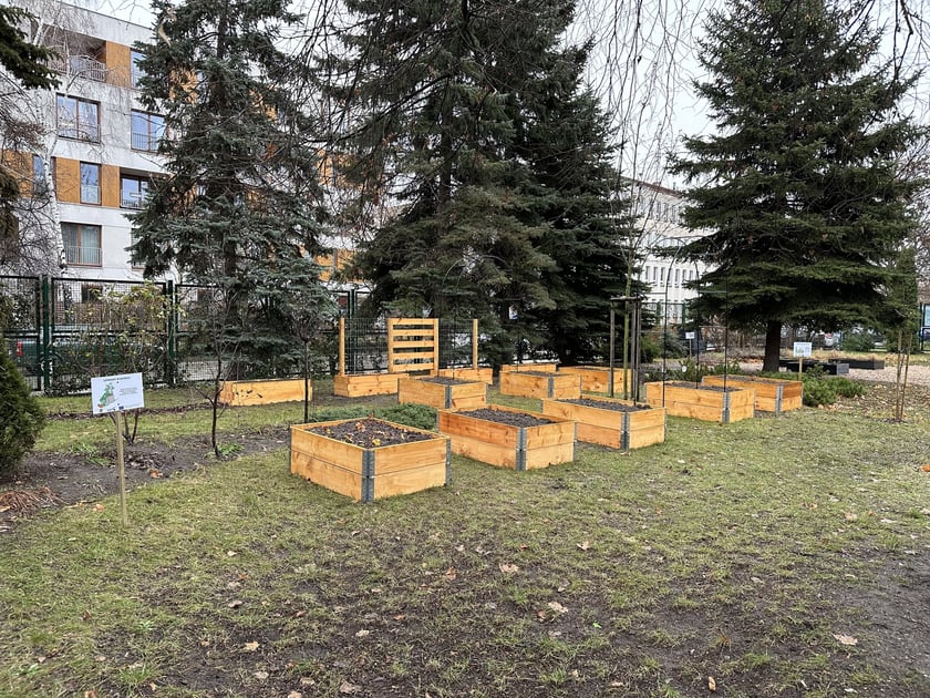 Ogródki warzywne we wrocławskich przedszkolach, które powstały w 2023 r. - projekt FOODSHIFT 2030