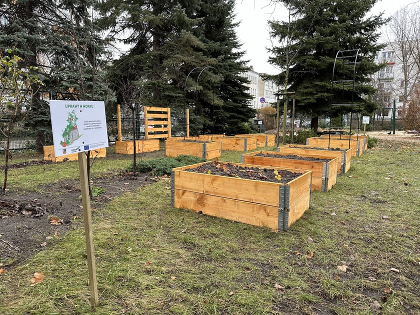 Ogródki warzywne we wrocławskich przedszkolach, które powstały w 2023 r. - projekt FOODSHIFT 2030