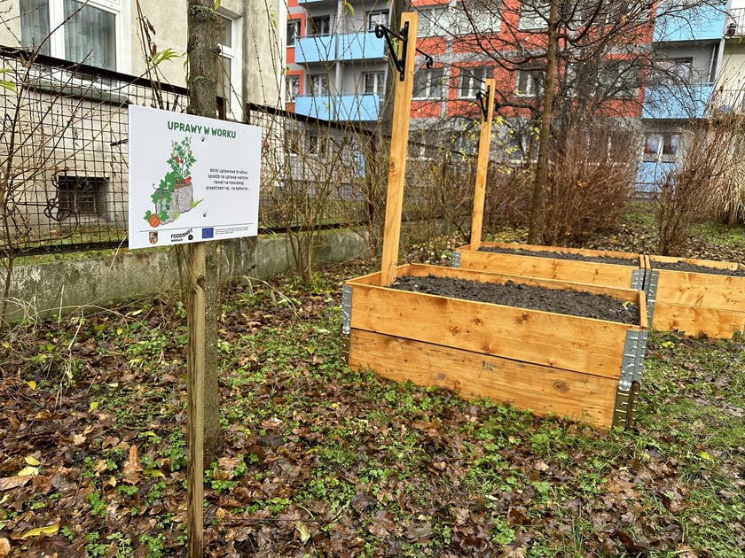 Ogródki warzywne we wrocławskich przedszkolach, które powstały w 2023 r. - projekt FOODSHIFT 2030