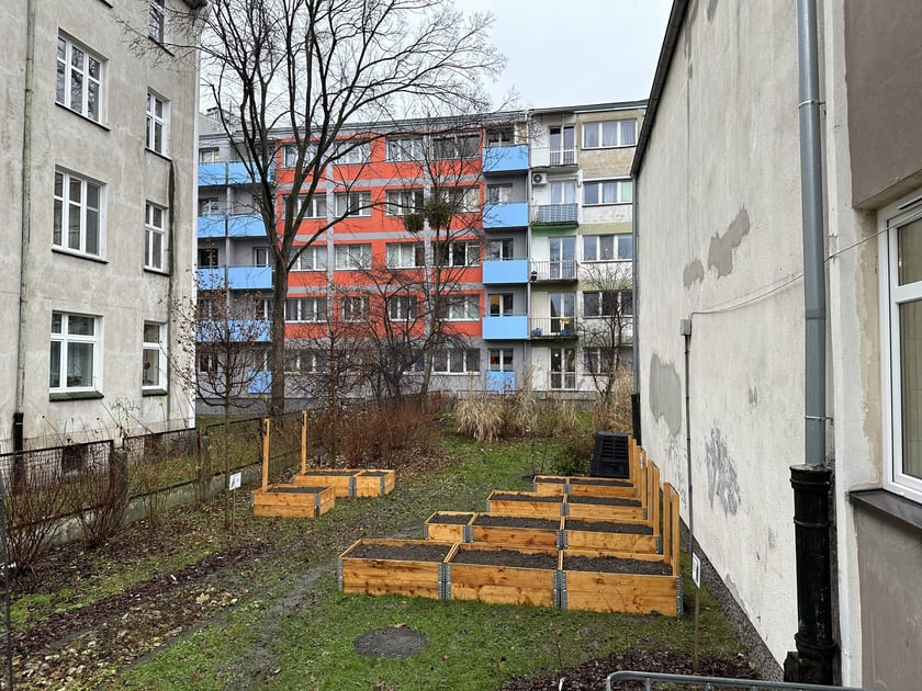 Ogródki warzywne we wrocławskich przedszkolach, które powstały w 2023 r. - projekt FOODSHIFT 2030